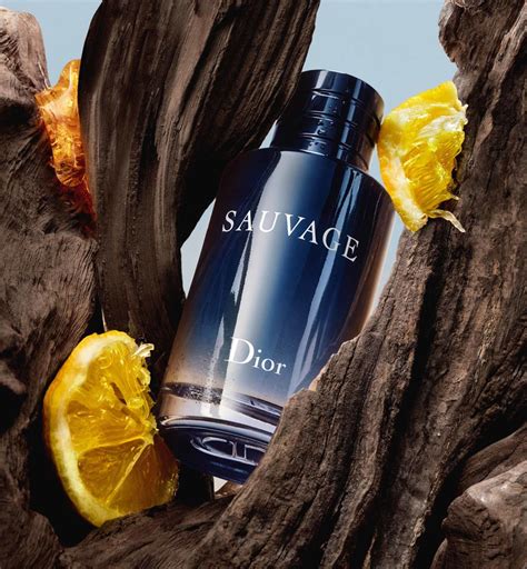 dior sauvage wild wood|sauvage dior.